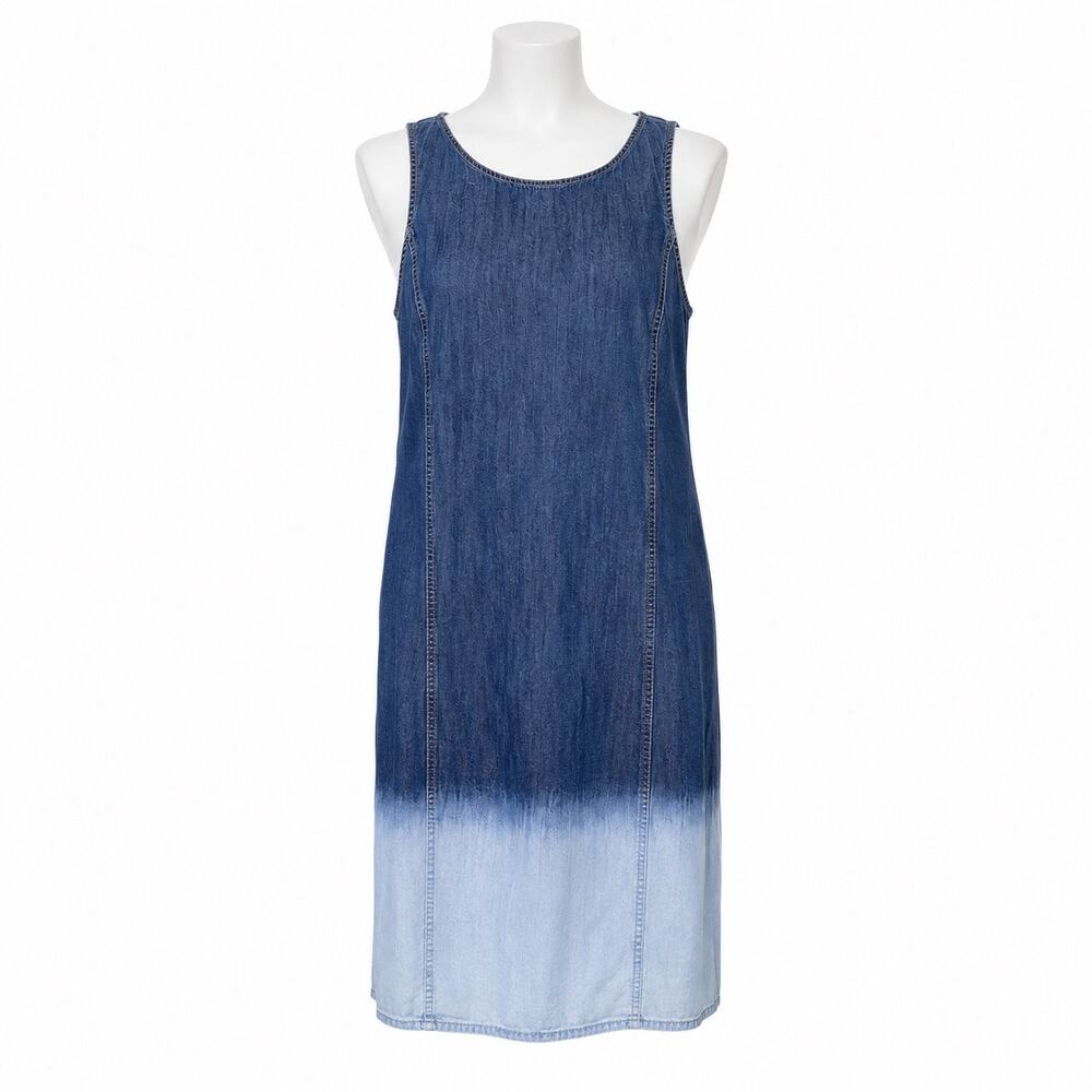 J.Jill Denim Dress Size S Blue White Ombré Chambray Sleeveless 100% Cotton Shift
